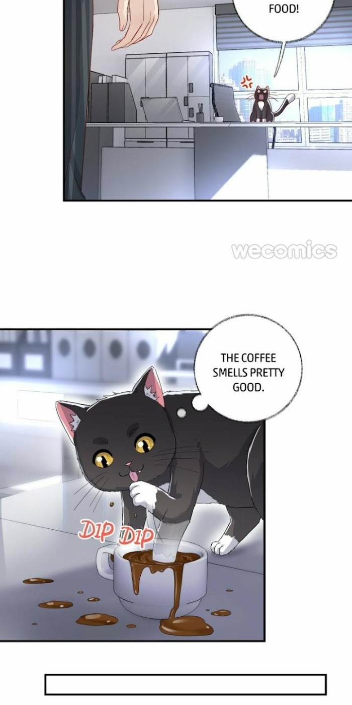 Read Pay Me Back, Mr. Cat chapter 13 image 18 on Lezhin