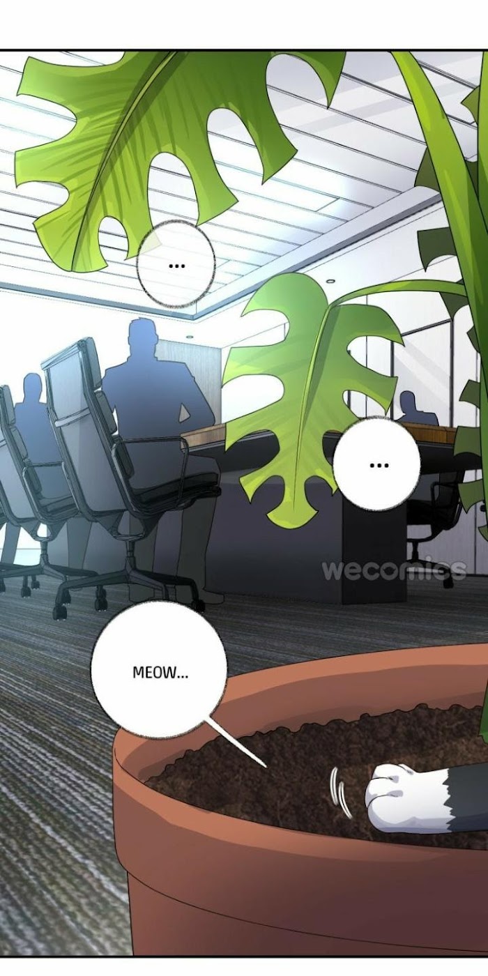Read Pay Me Back, Mr. Cat chapter 14 image 18 on Lezhin