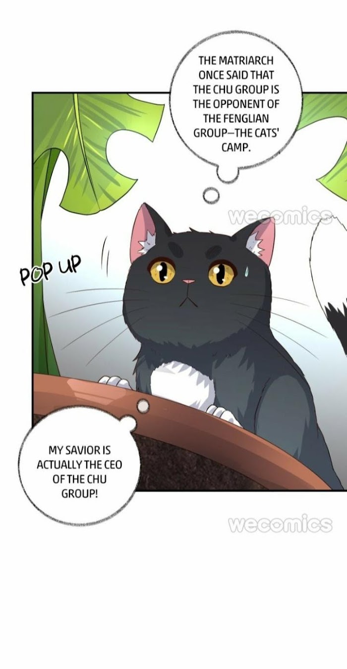 Read Pay Me Back, Mr. Cat chapter 14 image 19 on Lezhin