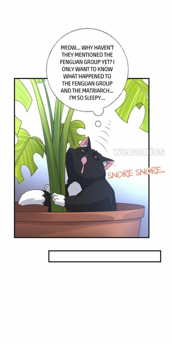 Read Pay Me Back, Mr. Cat chapter 14 image 21 on Lezhin