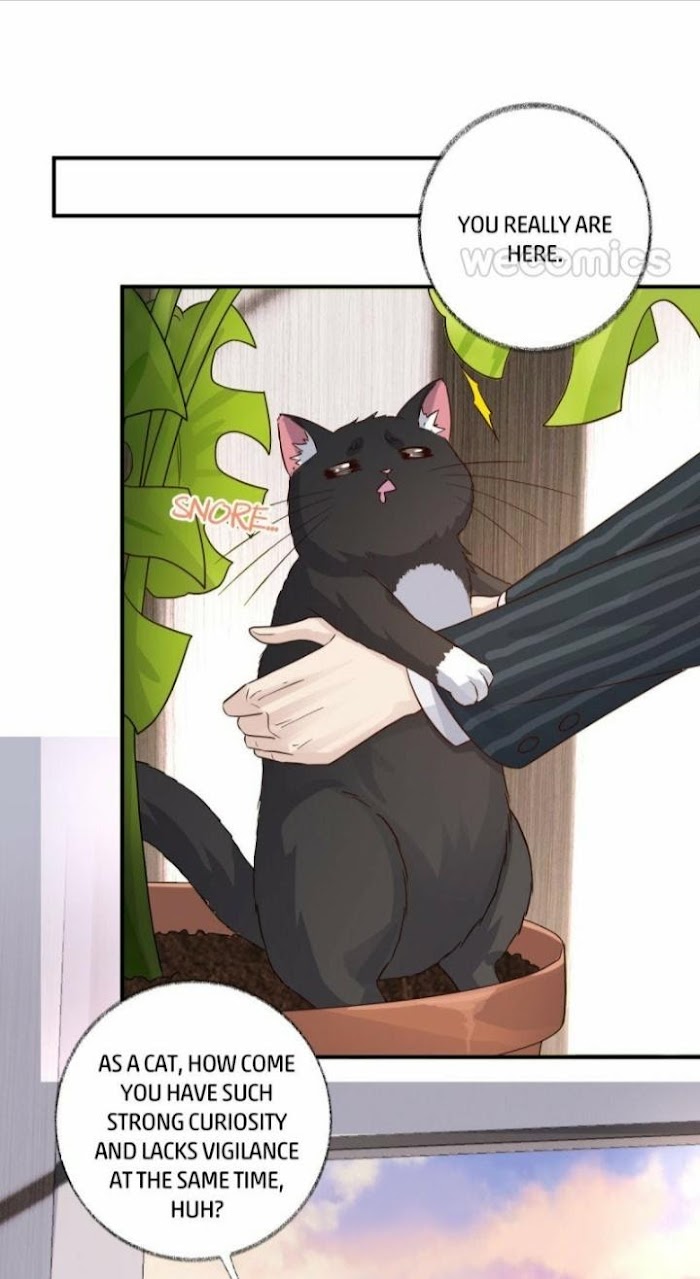 Read Pay Me Back, Mr. Cat chapter 14 image 35 on Lezhin