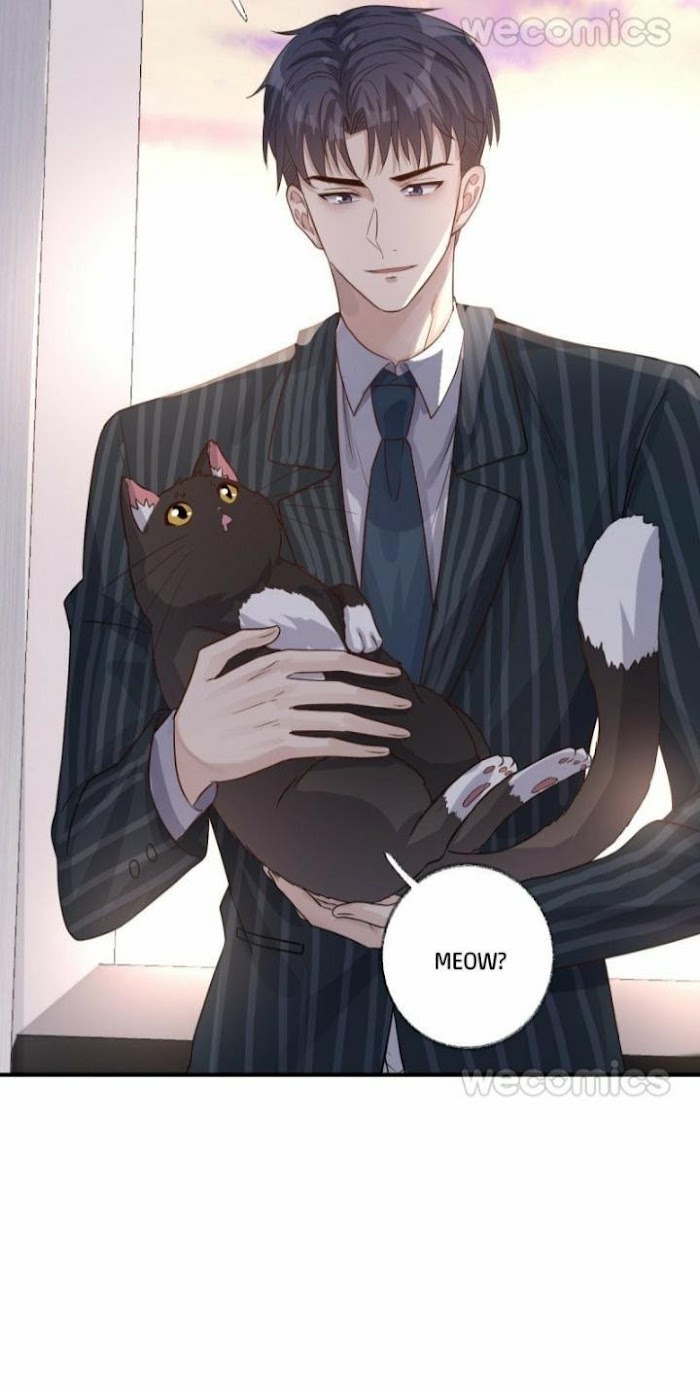 Read Pay Me Back, Mr. Cat chapter 14 image 36 on Lezhin