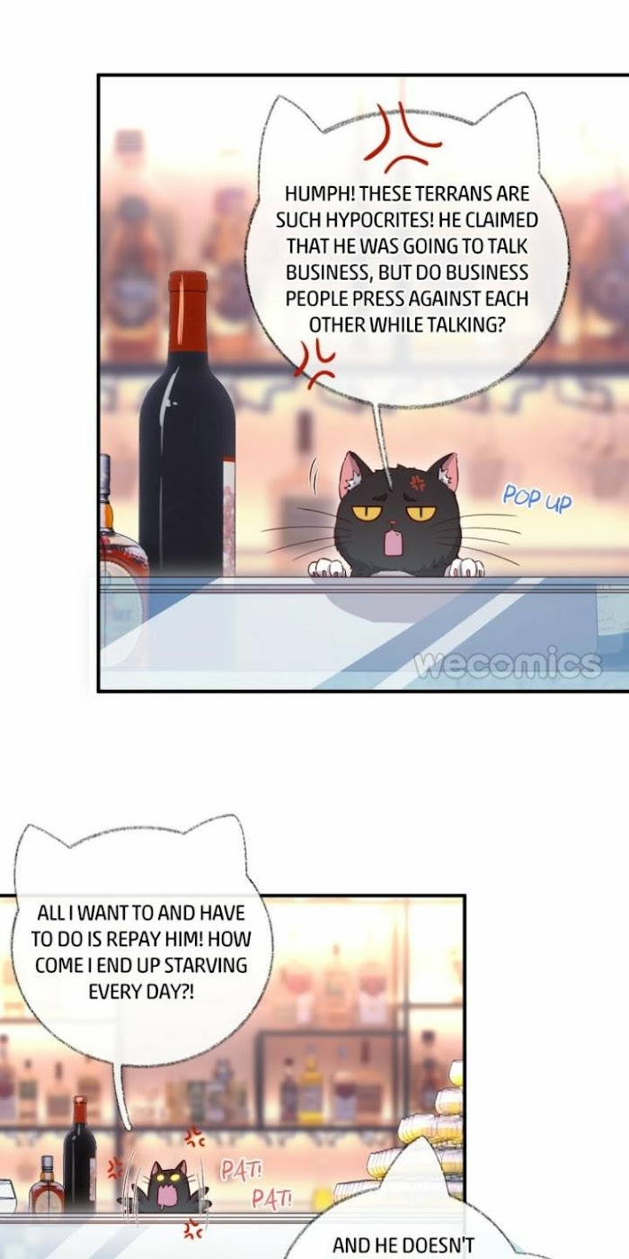Read Pay Me Back, Mr. Cat chapter 15 image 20 on Lezhin