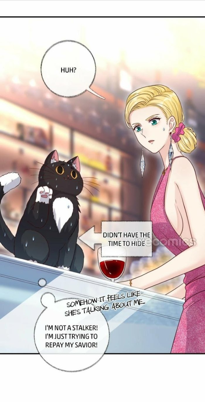Read Pay Me Back, Mr. Cat chapter 15 image 25 on Lezhin