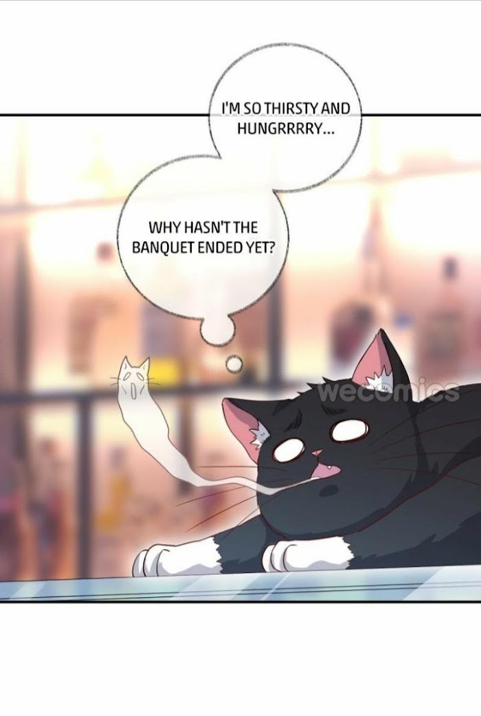 Read Pay Me Back, Mr. Cat chapter 15 image 28 on Lezhin