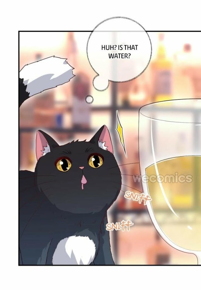 Read Pay Me Back, Mr. Cat chapter 15 image 29 on Lezhin