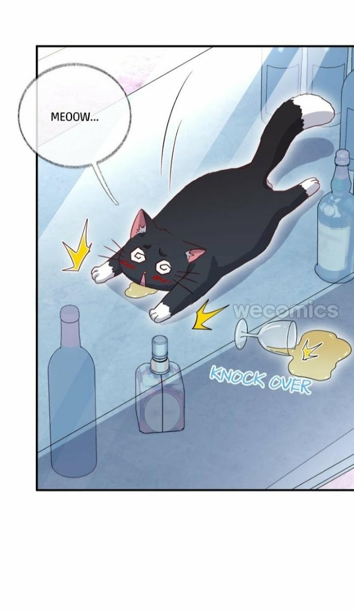 Read Pay Me Back, Mr. Cat chapter 15 image 31 on Lezhin