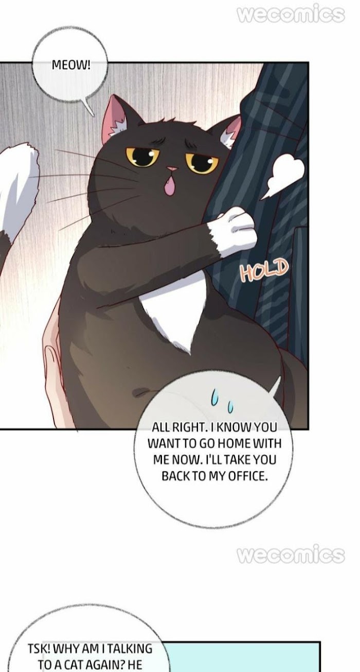 Read Pay Me Back, Mr. Cat chapter 15 image 5 on Lezhin