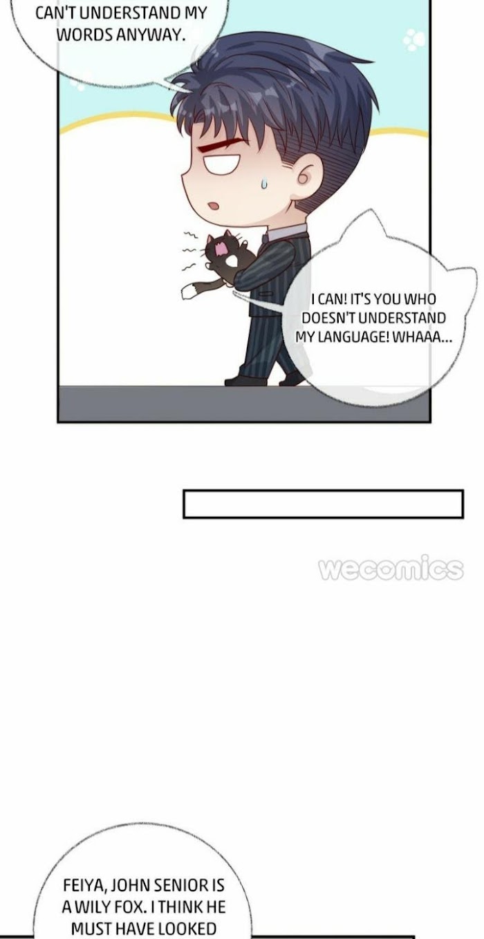 Read Pay Me Back, Mr. Cat chapter 15 image 6 on Lezhin