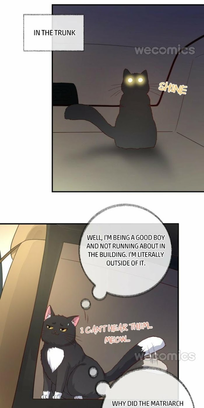Read Pay Me Back, Mr. Cat chapter 15 image 9 on Lezhin