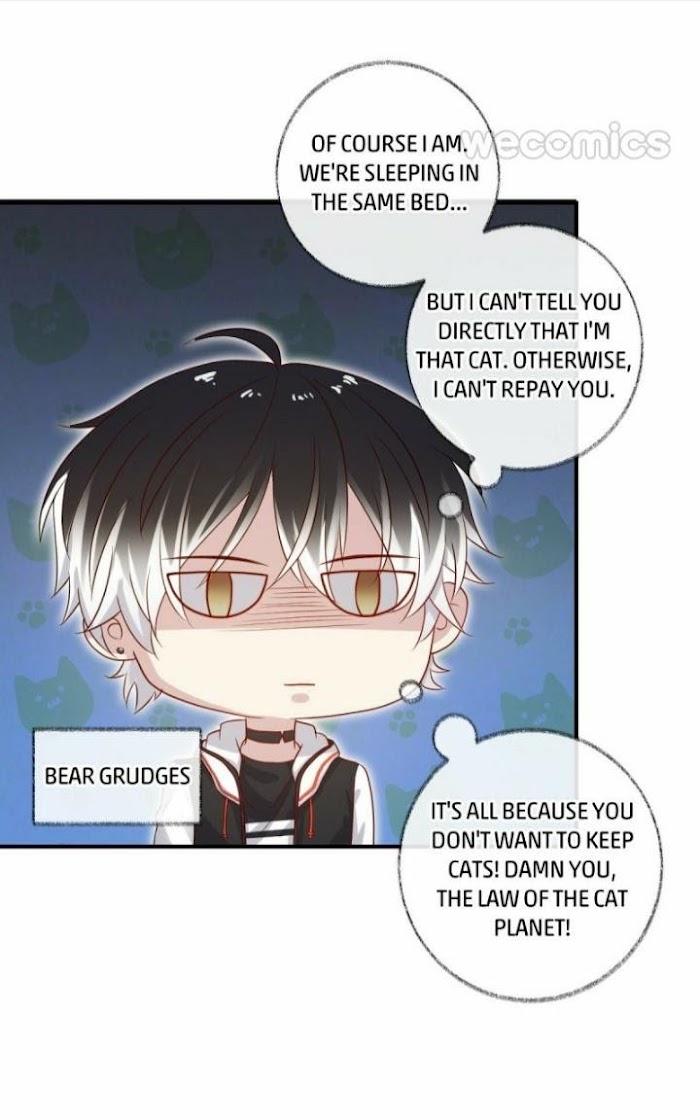 Read Pay Me Back, Mr. Cat chapter 17 image 19 on Lezhin