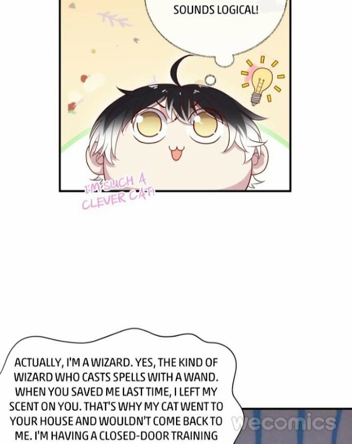 Read Pay Me Back, Mr. Cat chapter 17 image 21 on Lezhin