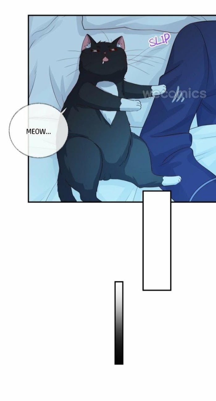 Read Pay Me Back, Mr. Cat chapter 17 image 32 on Lezhin
