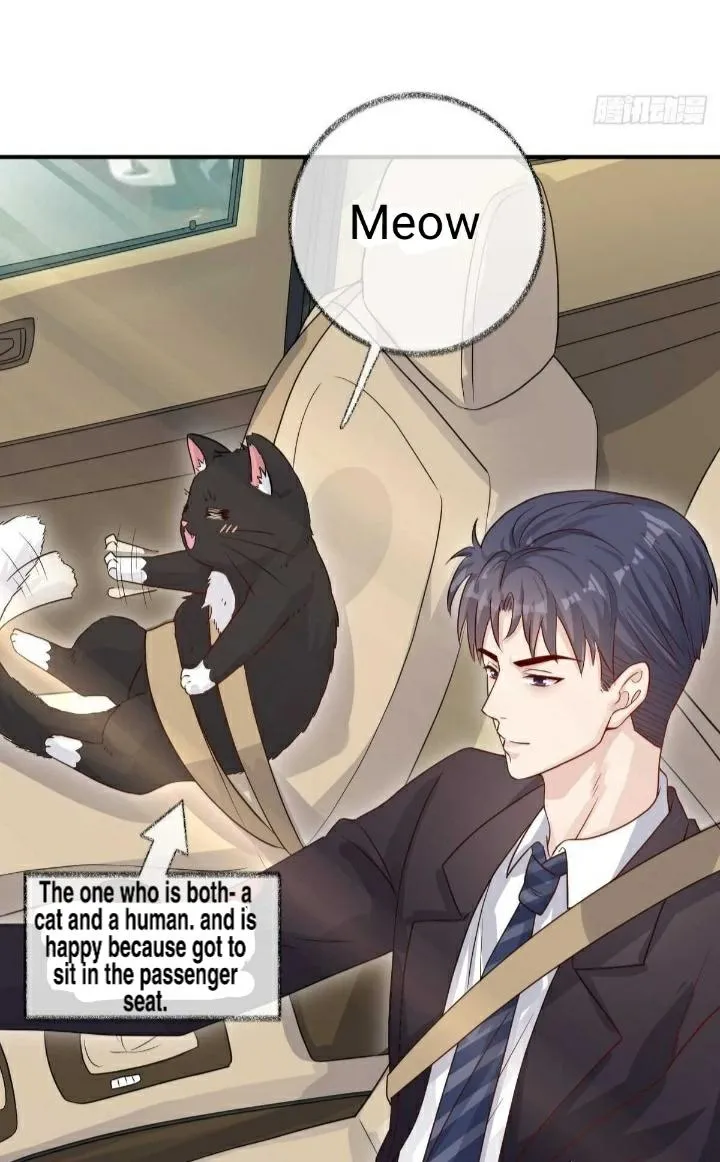 Read Pay Me Back, Mr. Cat chapter 18.99 image 1 on Lezhin