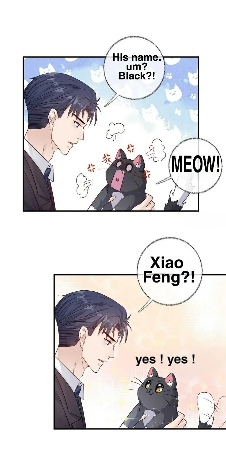 Read Pay Me Back, Mr. Cat chapter 18.99 image 16 on Lezhin