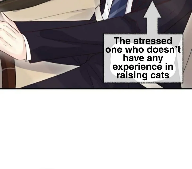 Read Pay Me Back, Mr. Cat chapter 18.99 image 2 on Lezhin
