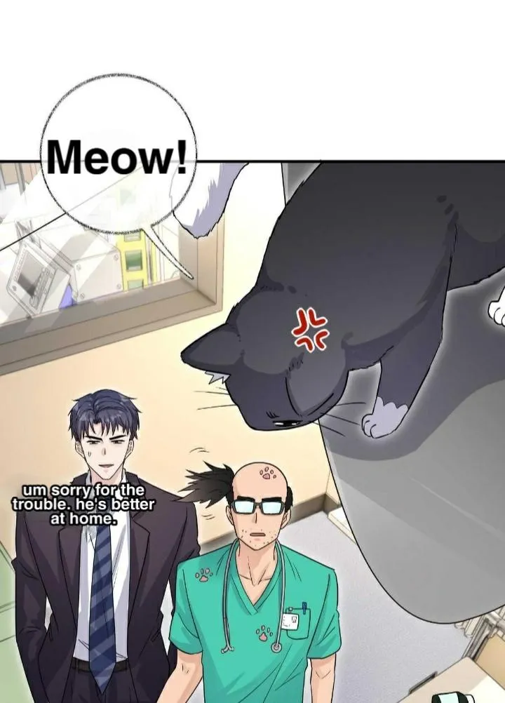 Read Pay Me Back, Mr. Cat chapter 18.99 image 22 on Lezhin