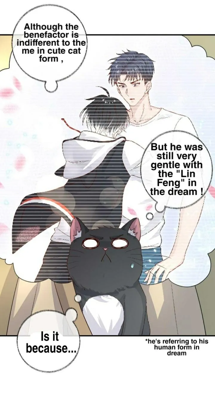 Read Pay Me Back, Mr. Cat chapter 18.99 image 4 on Lezhin