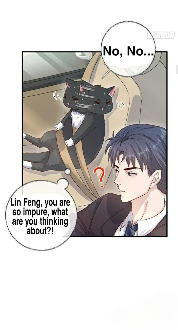 Read Pay Me Back, Mr. Cat chapter 18.99 image 7 on Lezhin