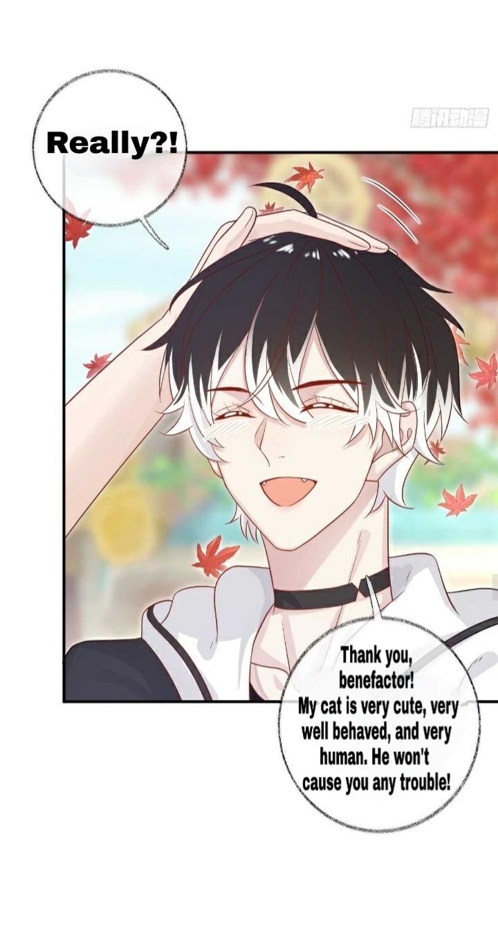 Read Pay Me Back, Mr. Cat chapter 18 image 26 on Lezhin