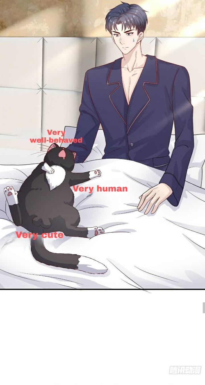 Read Pay Me Back, Mr. Cat chapter 18 image 33 on Lezhin