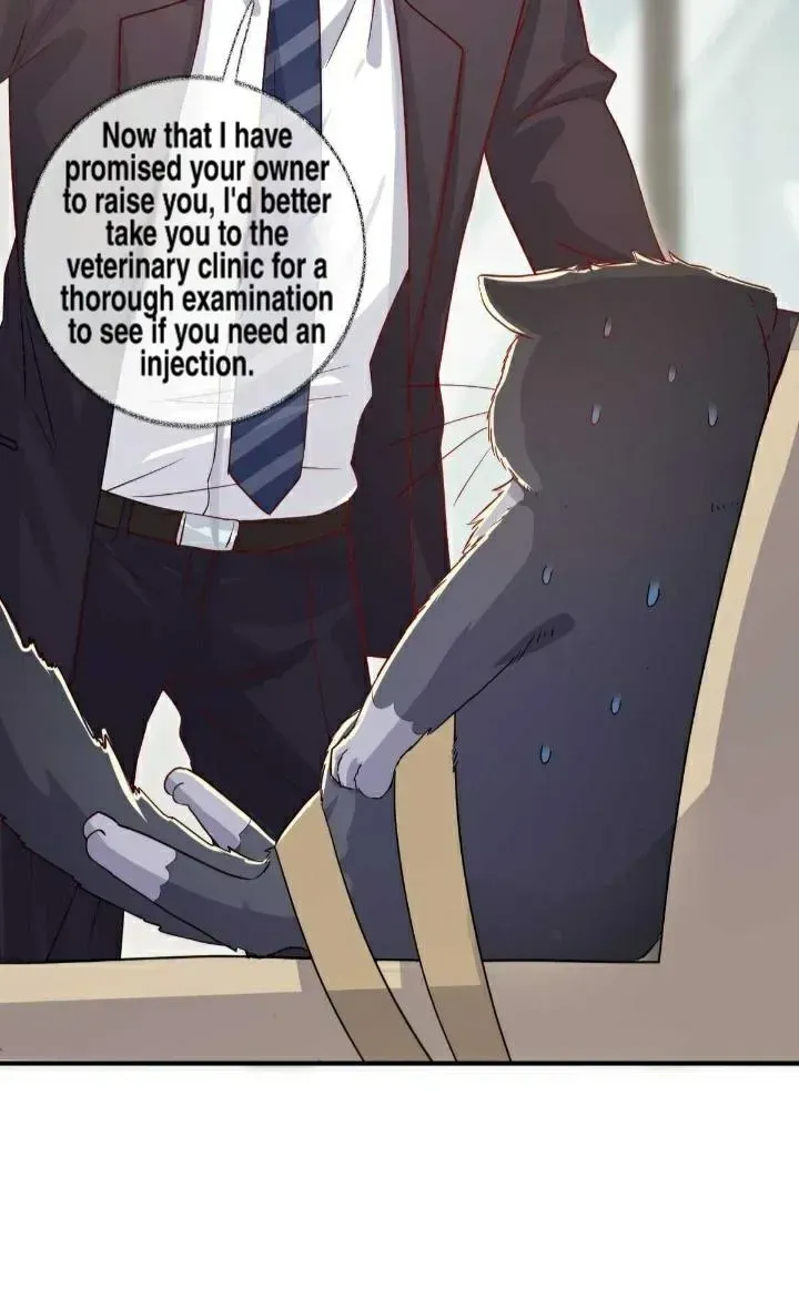 Read Pay Me Back, Mr. Cat chapter 19.1 image 11 on Lezhin