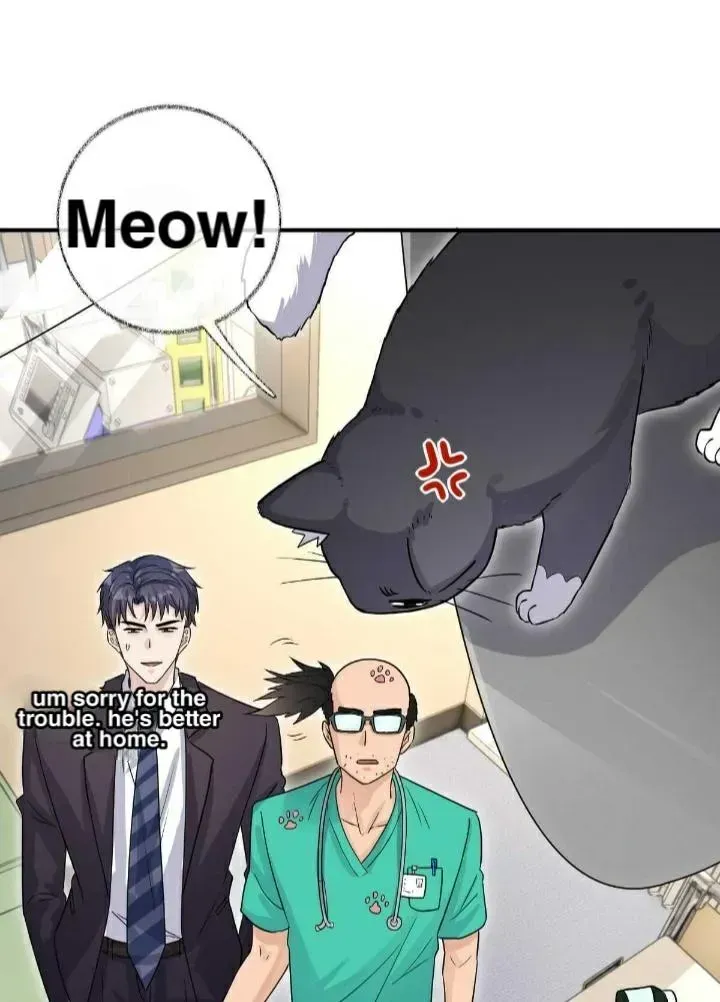 Read Pay Me Back, Mr. Cat chapter 19.1 image 22 on Lezhin
