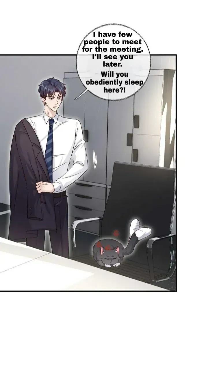Read Pay Me Back, Mr. Cat chapter 19.1 image 27 on Lezhin