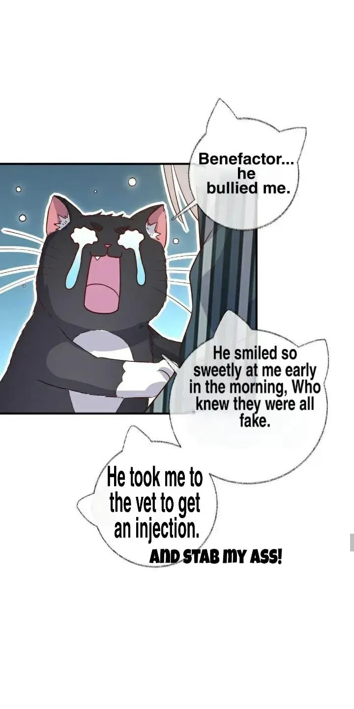 Read Pay Me Back, Mr. Cat chapter 19.1 image 31 on Lezhin