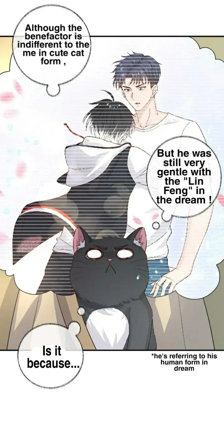 Read Pay Me Back, Mr. Cat chapter 19.1 image 4 on Lezhin