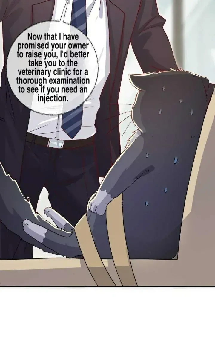Read Pay Me Back, Mr. Cat chapter 19.2 image 11 on Lezhin