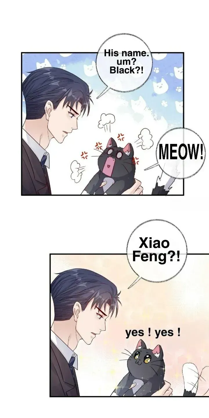 Read Pay Me Back, Mr. Cat chapter 19.2 image 16 on Lezhin