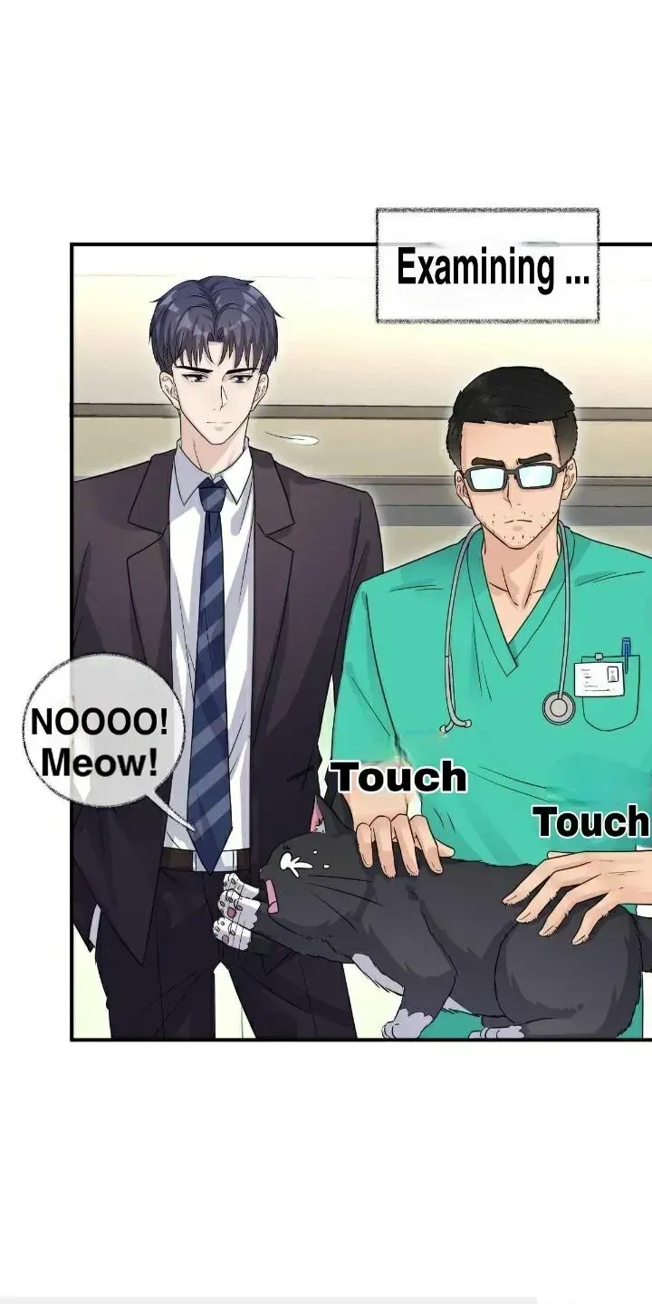 Read Pay Me Back, Mr. Cat chapter 19.2 image 18 on Lezhin