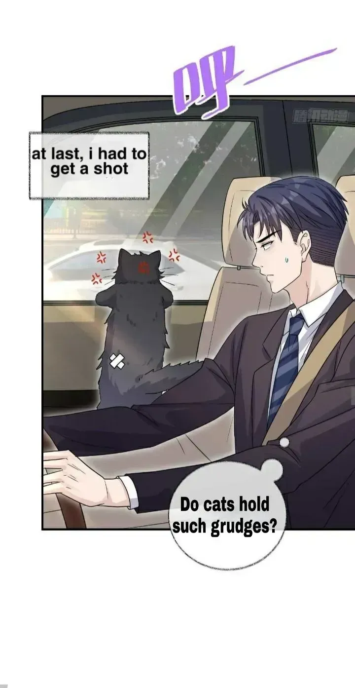 Read Pay Me Back, Mr. Cat chapter 19.2 image 24 on Lezhin