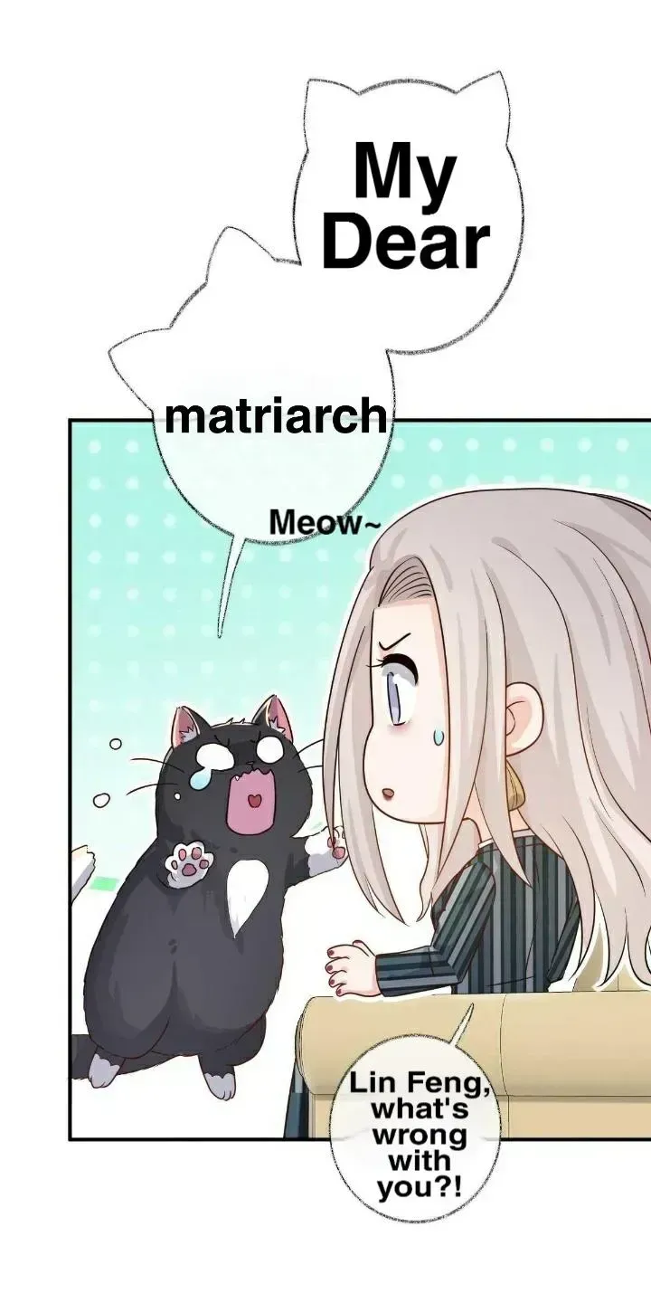 Read Pay Me Back, Mr. Cat chapter 19.2 image 30 on Lezhin