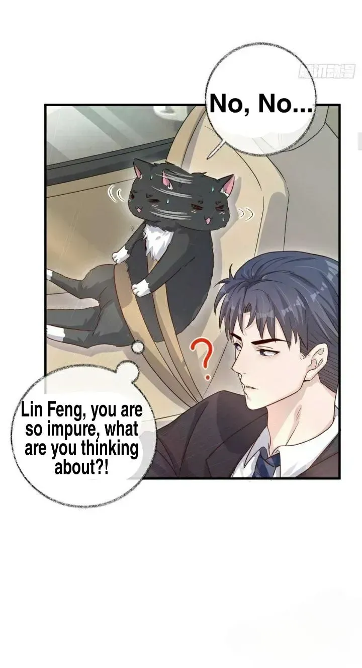 Read Pay Me Back, Mr. Cat chapter 19.2 image 7 on Lezhin