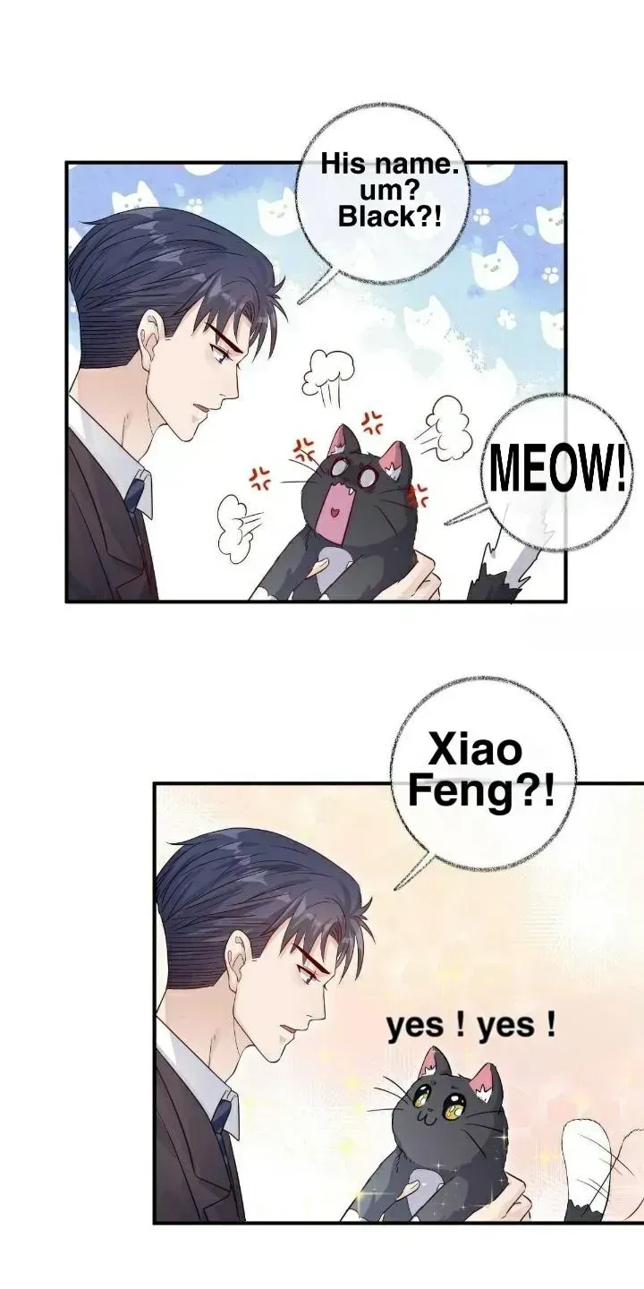 Read Pay Me Back, Mr. Cat chapter 19.3 image 16 on Lezhin