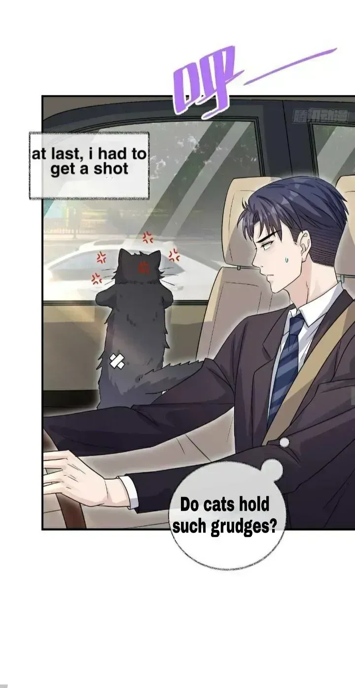 Read Pay Me Back, Mr. Cat chapter 19.3 image 24 on Lezhin