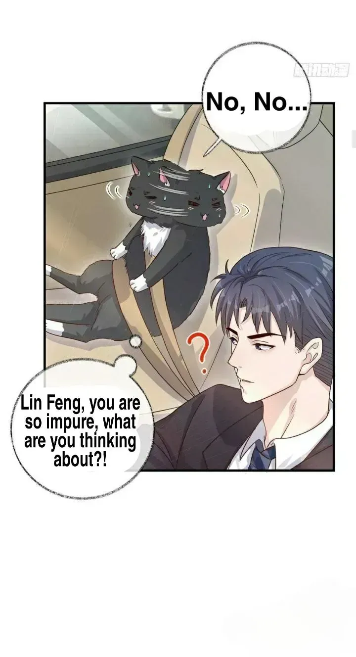 Read Pay Me Back, Mr. Cat chapter 19.3 image 7 on Lezhin