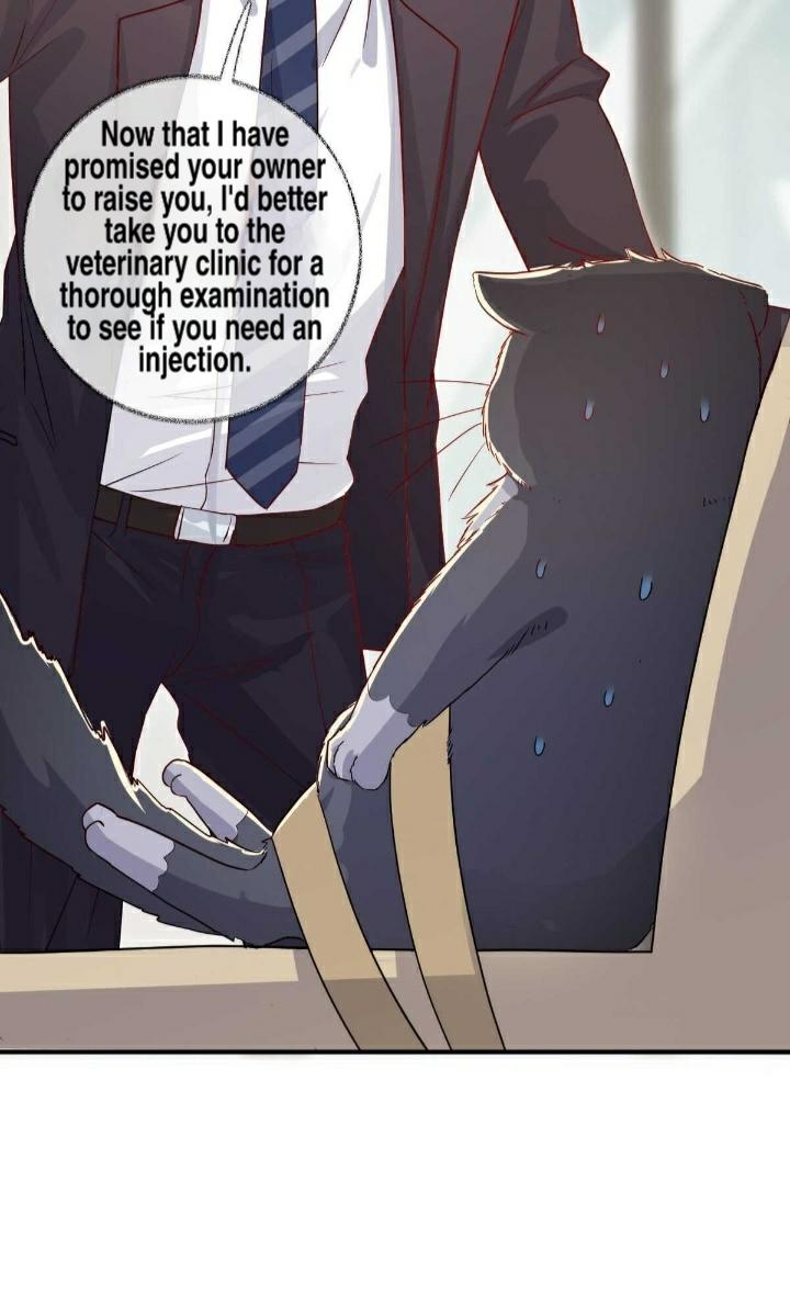 Read Pay Me Back, Mr. Cat chapter 19 image 11 on Lezhin