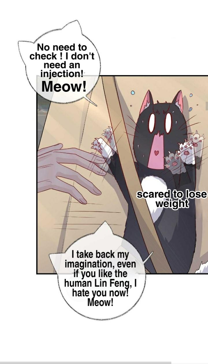 Read Pay Me Back, Mr. Cat chapter 19 image 12 on Lezhin