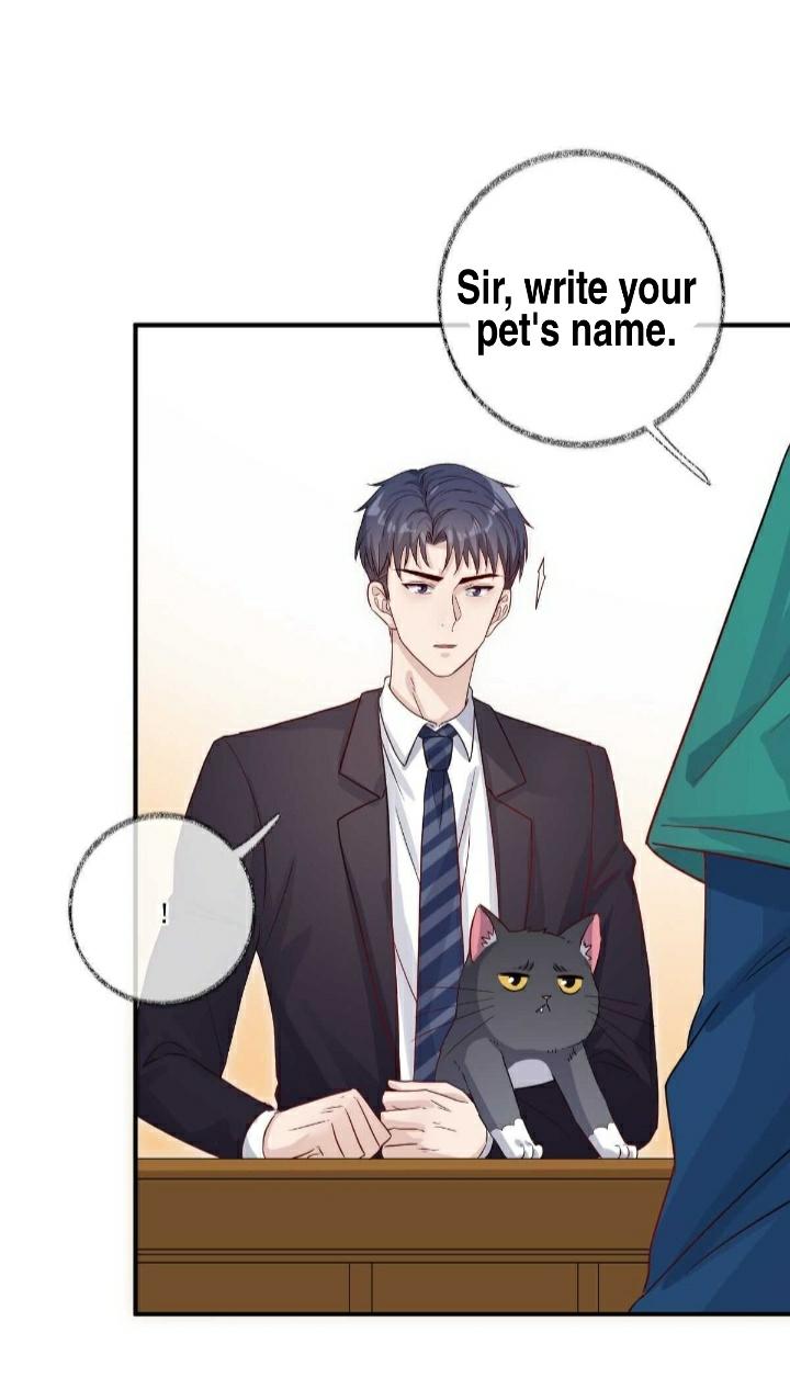 Read Pay Me Back, Mr. Cat chapter 19 image 15 on Lezhin