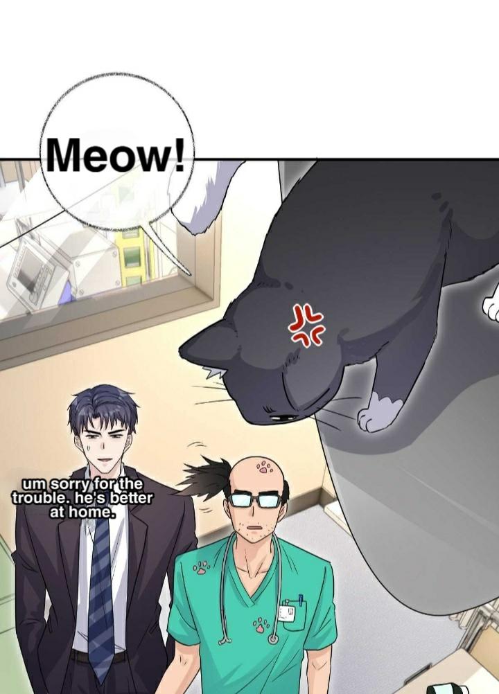 Read Pay Me Back, Mr. Cat chapter 19 image 22 on Lezhin