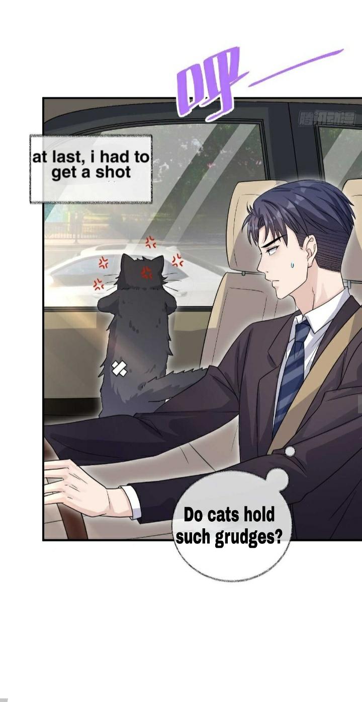 Read Pay Me Back, Mr. Cat chapter 19 image 24 on Lezhin