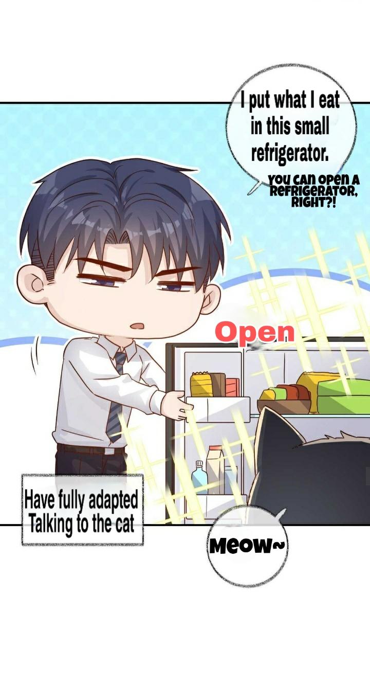 Read Pay Me Back, Mr. Cat chapter 19 image 28 on Lezhin