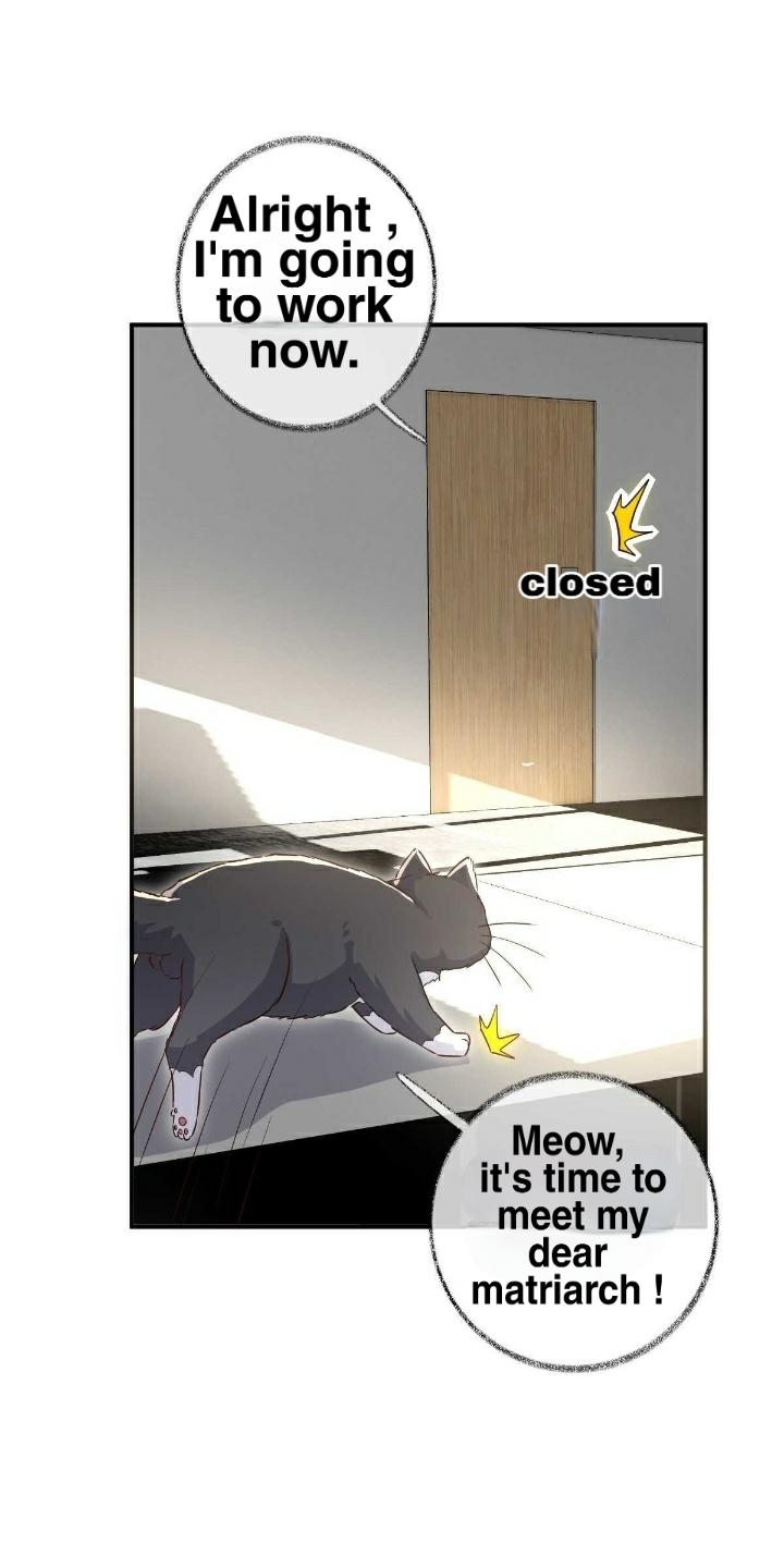 Read Pay Me Back, Mr. Cat chapter 19 image 29 on Lezhin