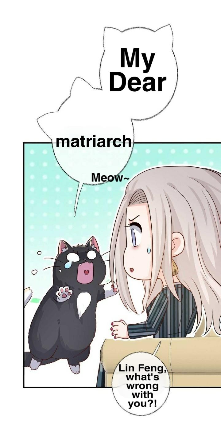 Read Pay Me Back, Mr. Cat chapter 19 image 30 on Lezhin