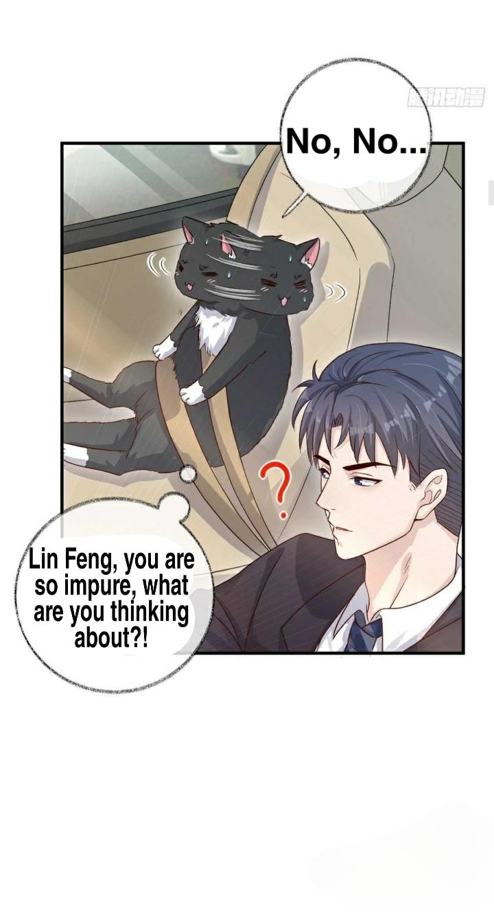 Read Pay Me Back, Mr. Cat chapter 19 image 7 on Lezhin