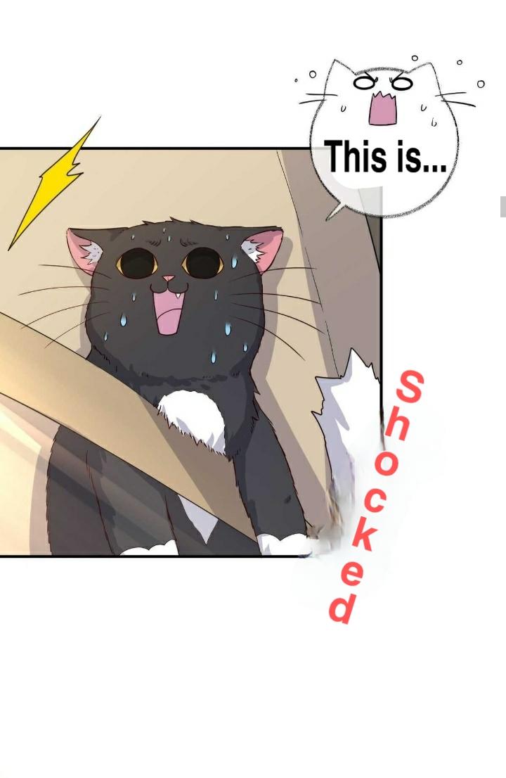 Read Pay Me Back, Mr. Cat chapter 19 image 9 on Lezhin