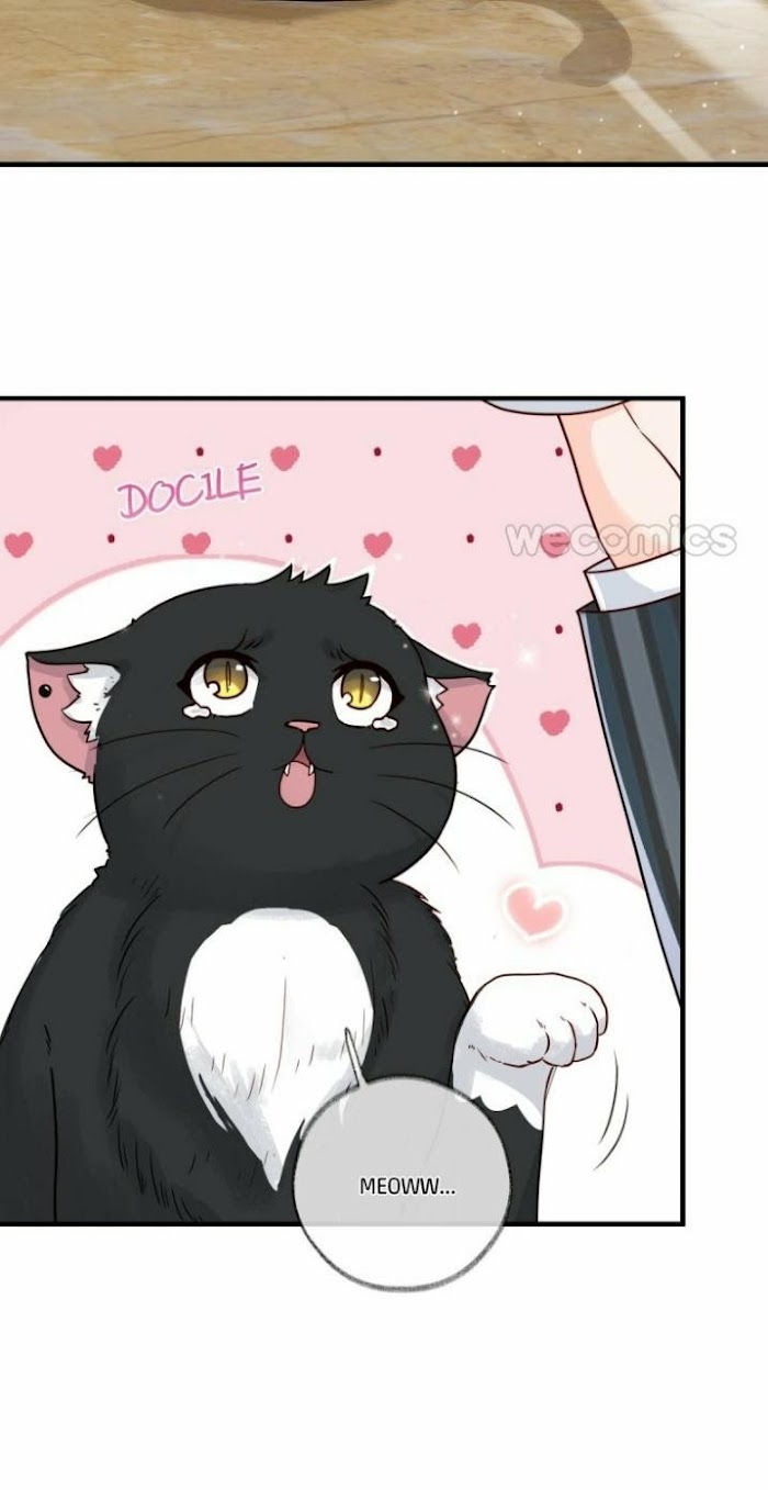 Read Pay Me Back, Mr. Cat chapter 2 image 21 on Lezhin